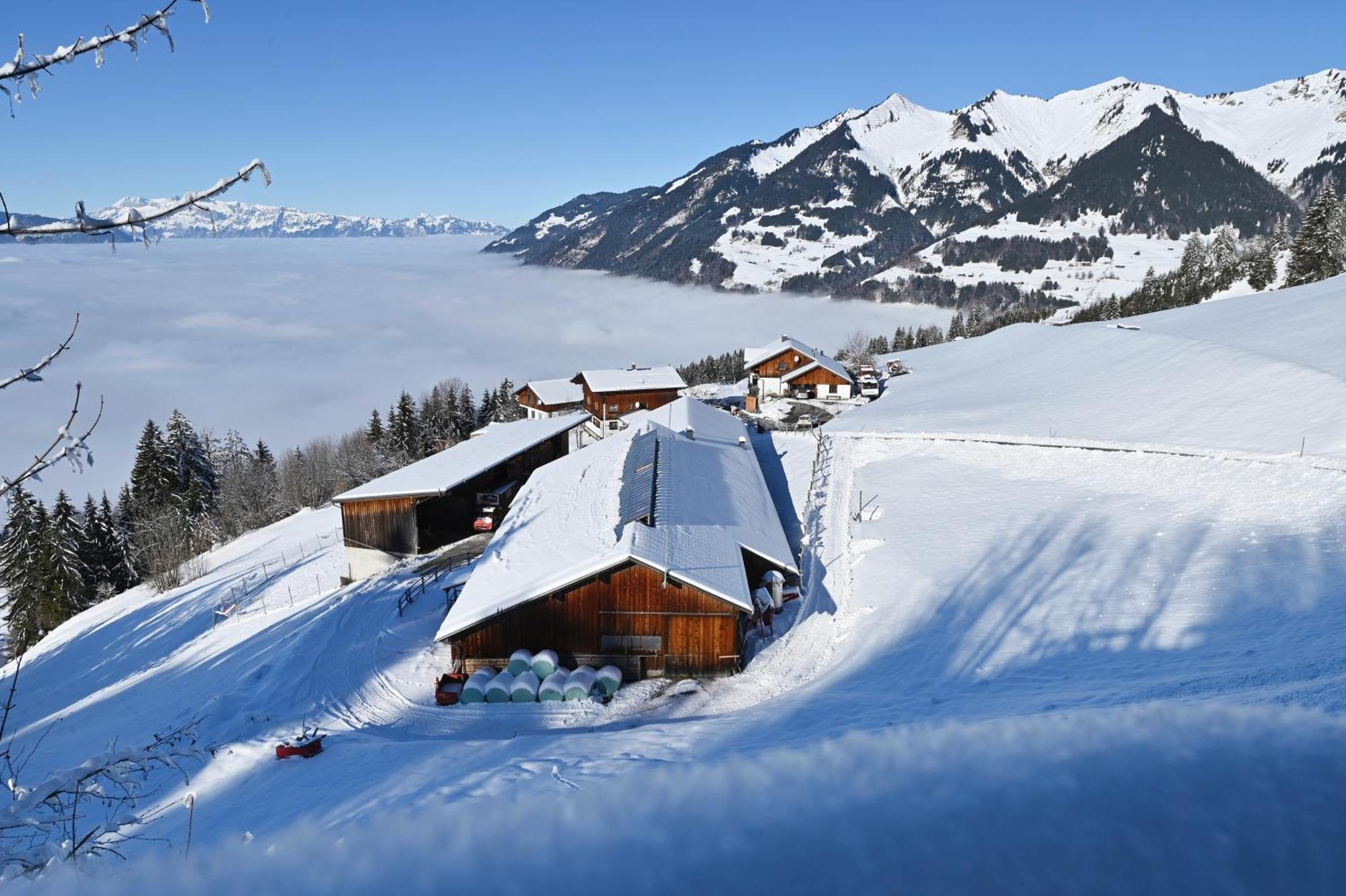 Berghof Burtscher Ludesch Luaran gambar